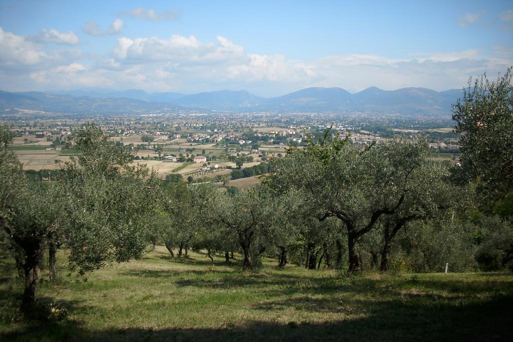 B&B Il Grotto Bevagna Exterior photo