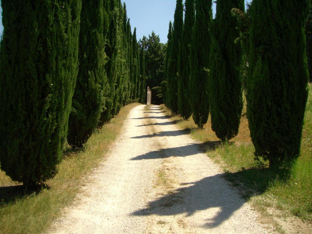 B&B Il Grotto Bevagna Exterior photo