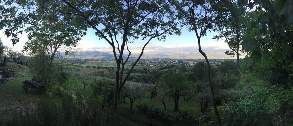 B&B Il Grotto Bevagna Exterior photo