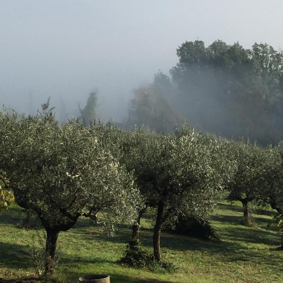 B&B Il Grotto Bevagna Exterior photo